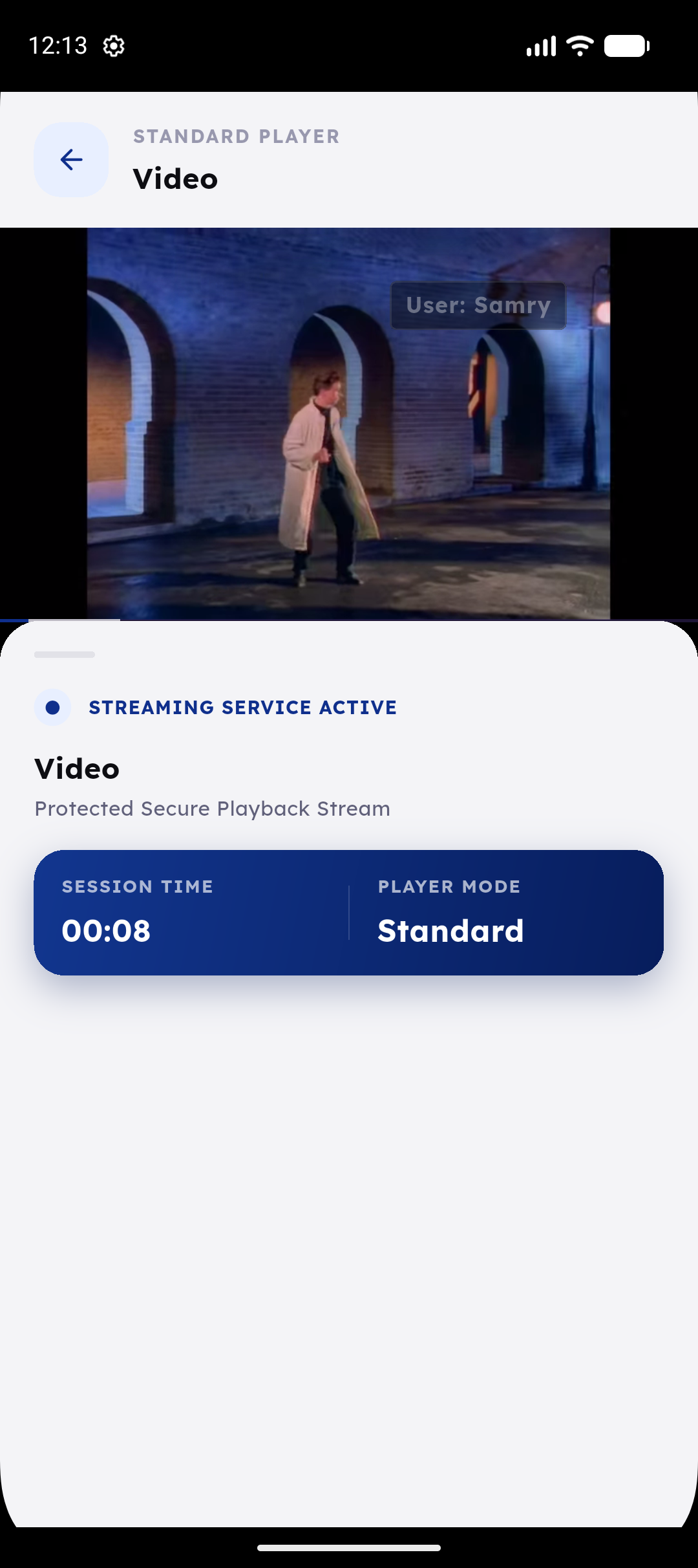 Protected playback